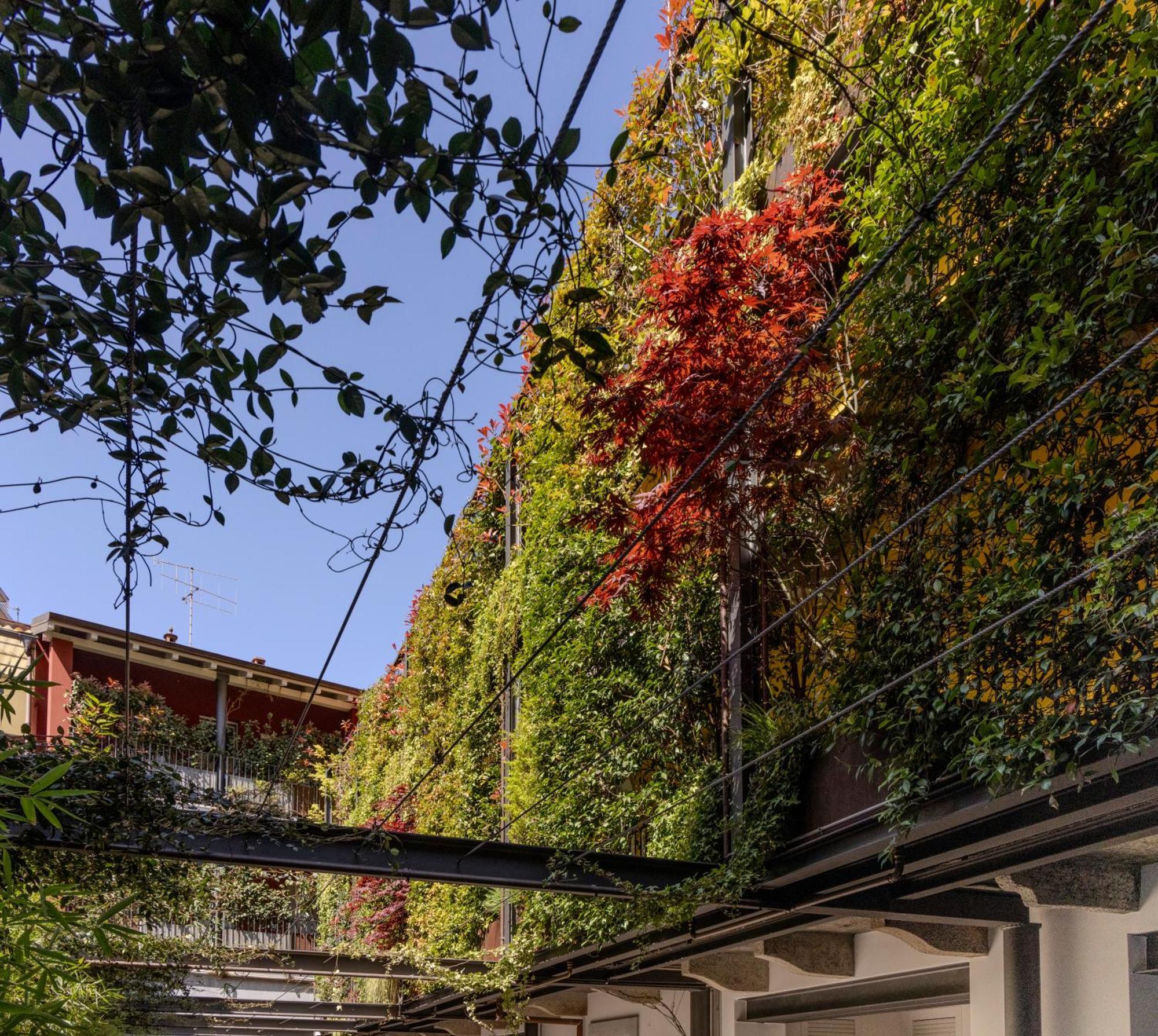 Residence Casa Coppa Appartamento Jasmine Omegna Zewnętrze zdjęcie