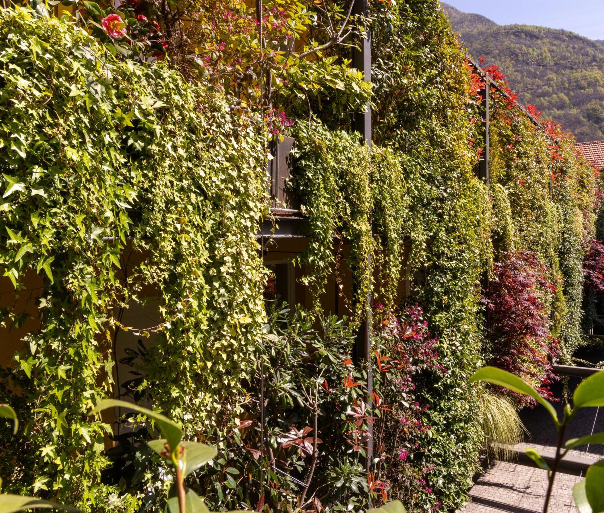 Residence Casa Coppa Appartamento Jasmine Omegna Zewnętrze zdjęcie